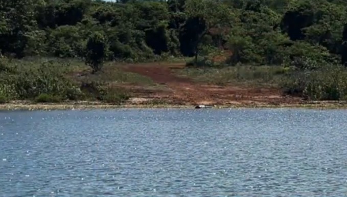 Bello Alimentos detalha operação de emissário de efluentes no Rio Paraná após questionamentos