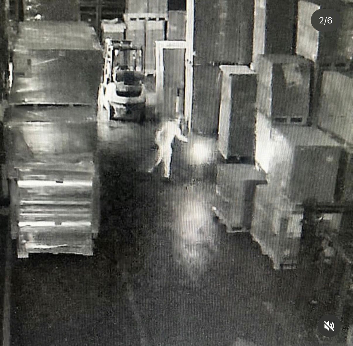 Incêndio em fábrica de Aparecida do Taboado foi criminoso, confirma Polícia Civil